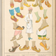 Image for article titled What did being stylish mean for women in 19th century India?